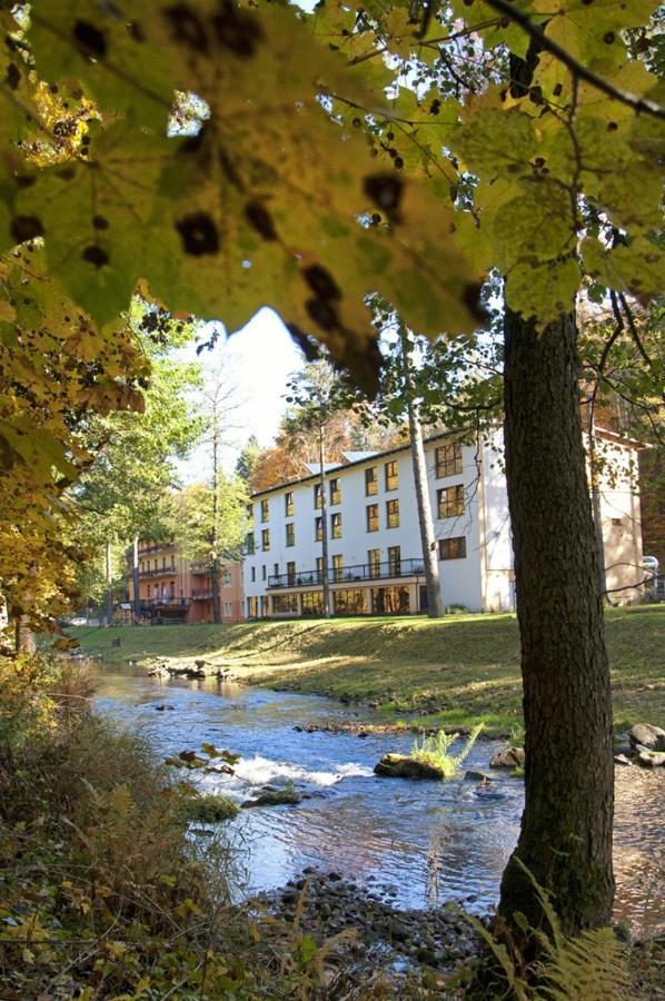 Hotel Mir-Jan Spa Ladek-Zdroj Bagian luar foto
